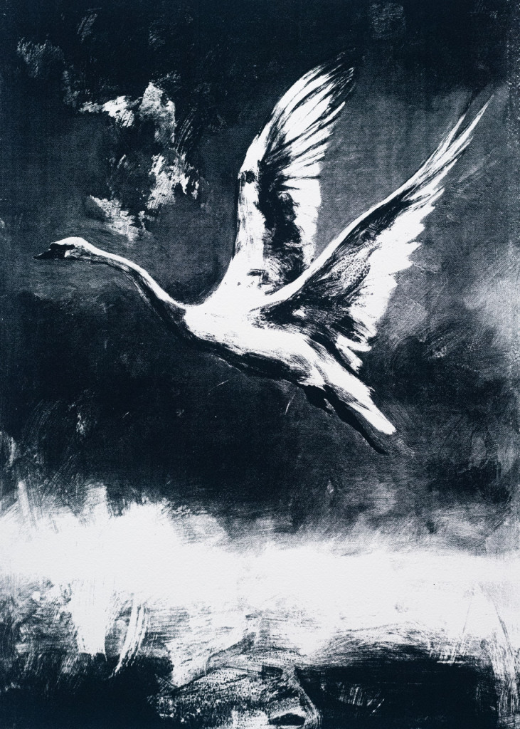 Mappe A – Julia Kneise, Schwan