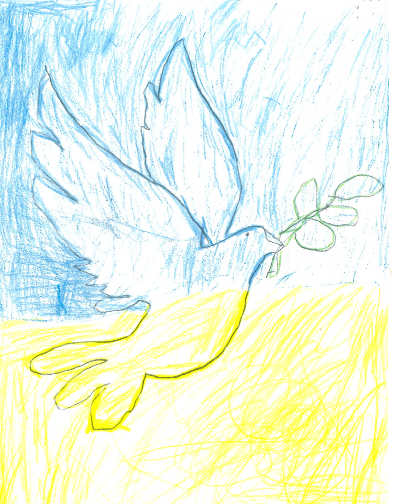 Taube von Alexander K.