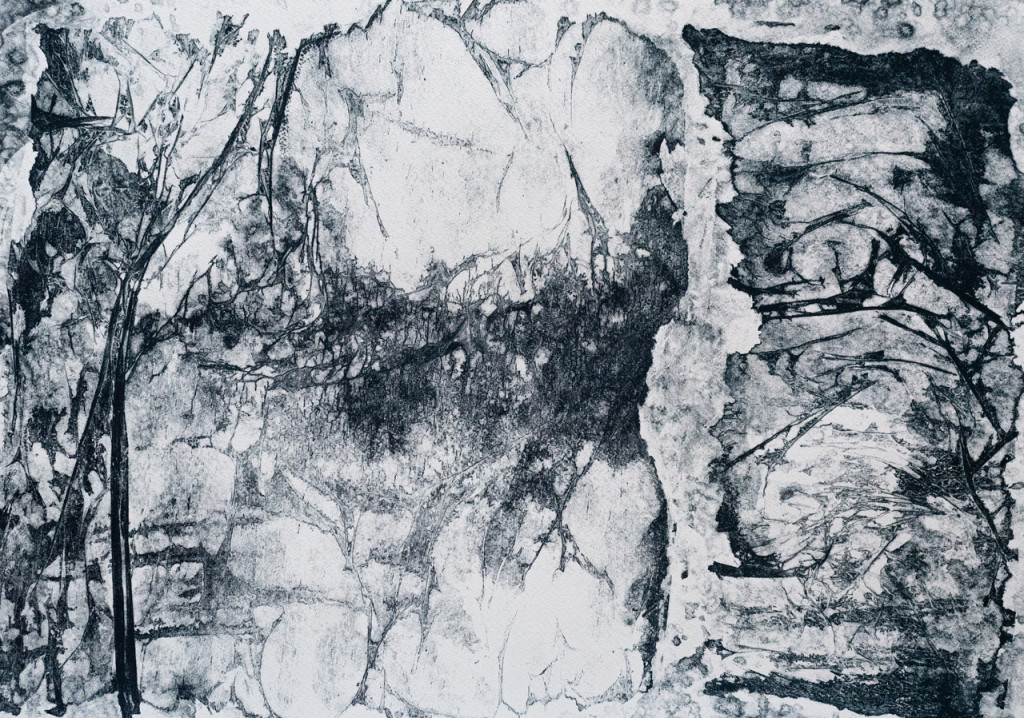 Mappe C – Antje Heise, Blütentorso