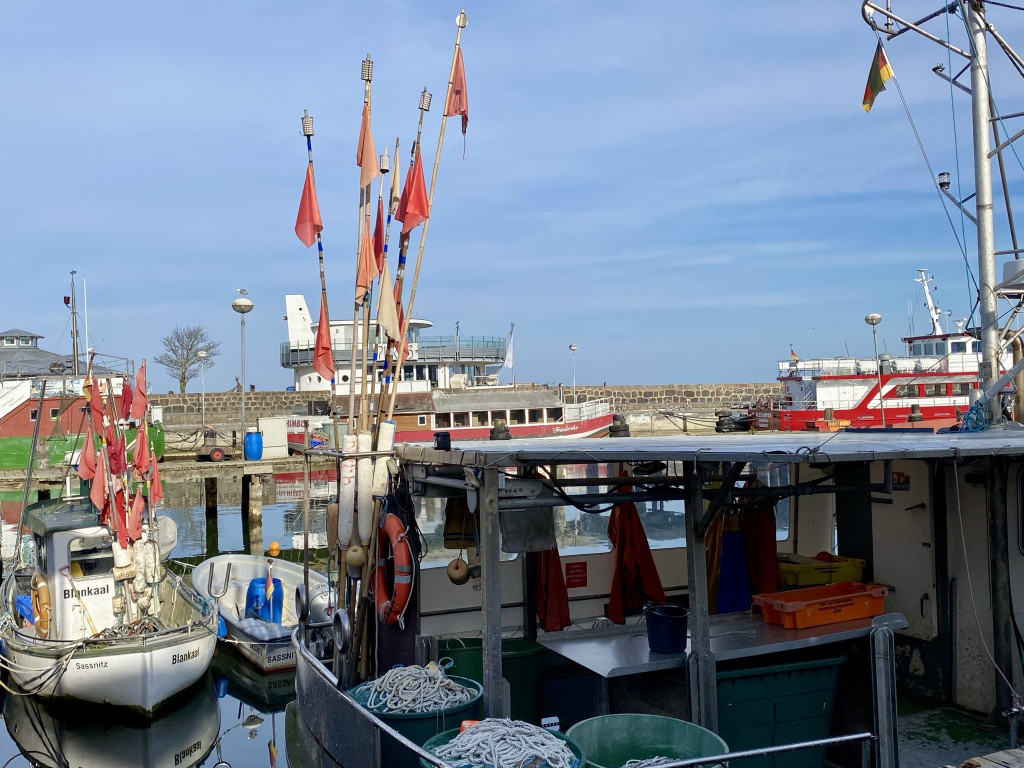 Pastellmalerei auf der Insel Rügen mit Peter Stechert