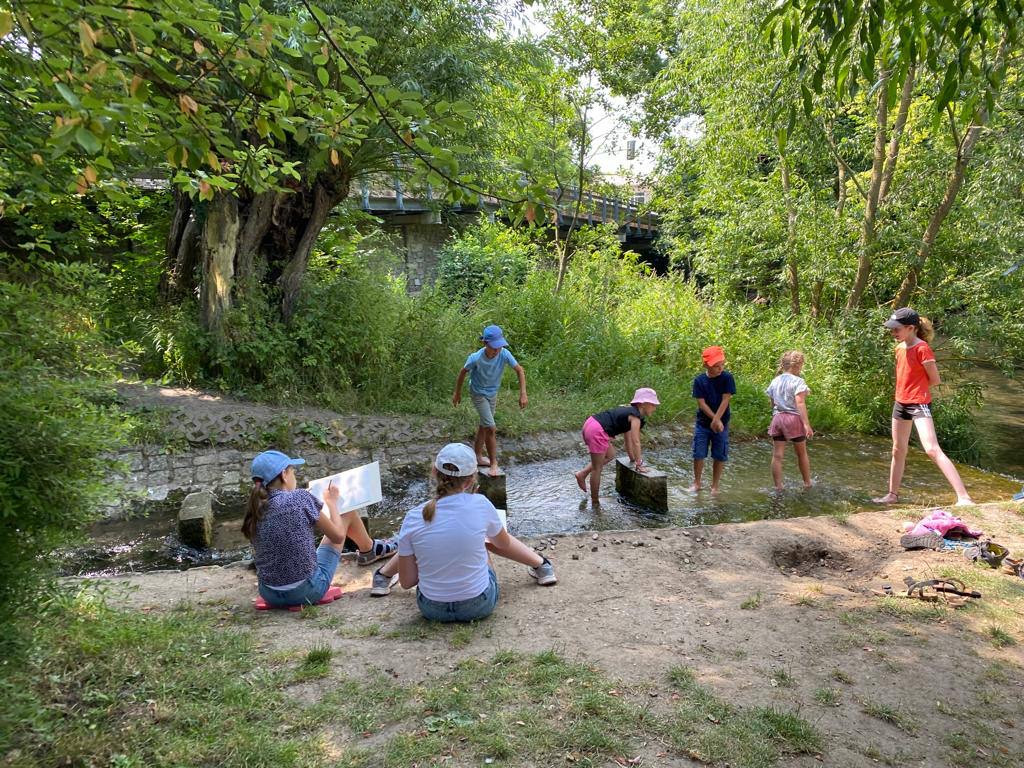 Bienenflug und Kräuterbeet mit Sibylle Mania