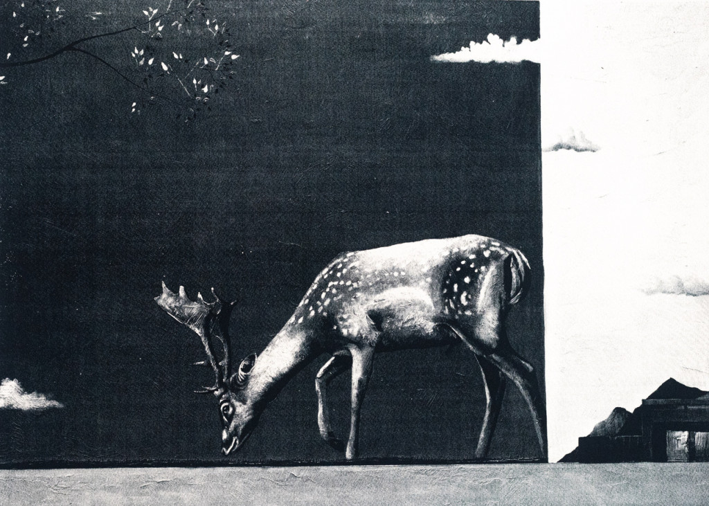 Mappe A – Lezzueck Coosemans, Serie: Hoffnungsgabe